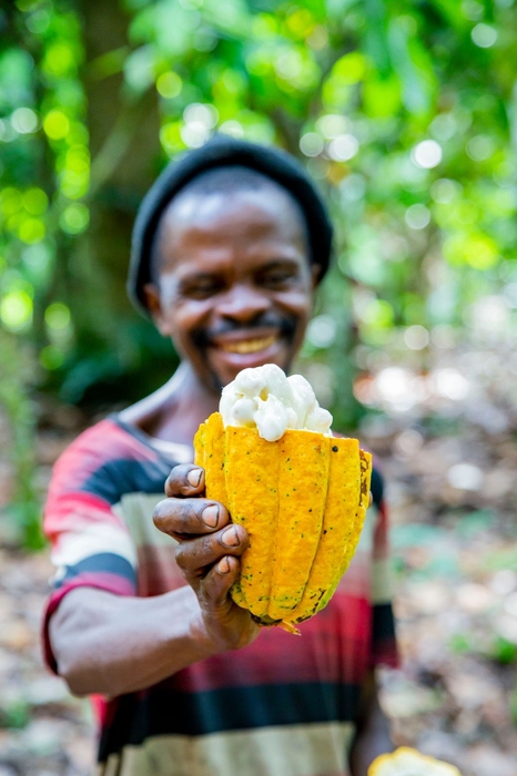 <カカオ・トレースの農園と生産者> (ウガンダ)