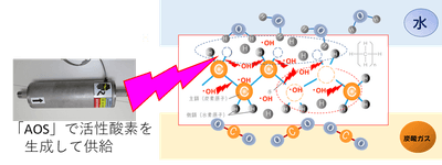 燃焼との違い（活性酸素熱分解）