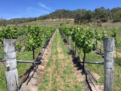 0TqapncNTlxFDipkIEYA.jpg?w=940&h=940