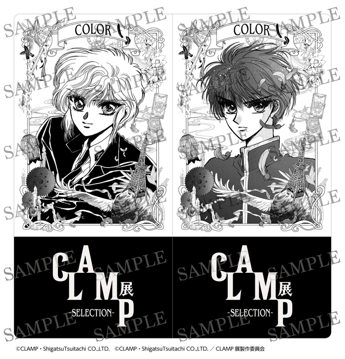 チケットホルダー(例:COLOR、イメージ)