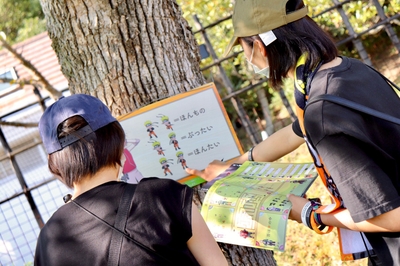 0W5hrQhb9ObEO7zRDZsn.JPG?w=940&h=940