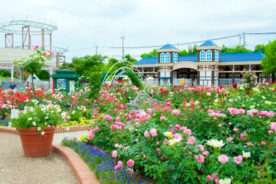 0XEeygCGaGJmUO6KKFNk.jpg?w=940&h=940