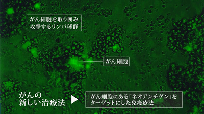 0Y8gxWQZ4LTA2tSQJKQL.png?w=940&h=940