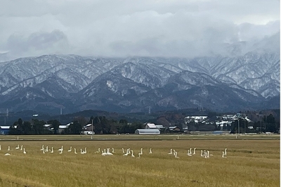 0Ya8ghqaBwt14kxMjfRe.jpg?w=940&h=940