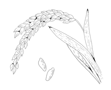 0Yl8SPxoCZjtZwZHxHIe.jpg?w=940&h=940