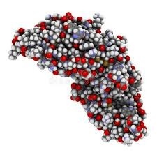 骨形成タンパク質（BMP）2の市場規模、2032年に1201百万米ドルに達する見込み