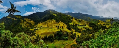 0bnxE6MyadVGlAsqpLT4.jpg?w=940&h=940