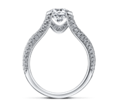 セレスティアル2