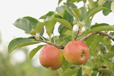 0e7vTBOFyC8s2r94V5m7.jpg?w=940&h=940