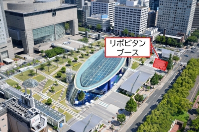 0f80Nluz4qxni7bZYBua.jpg?w=940&h=940