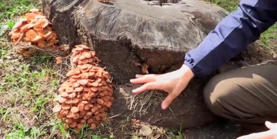 0fXsiQWW0Aqx5KTAHBpw.jpg?w=940&h=940