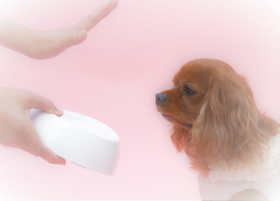 0h15leQutub4DpHshTjd.jpeg?w=940&h=940