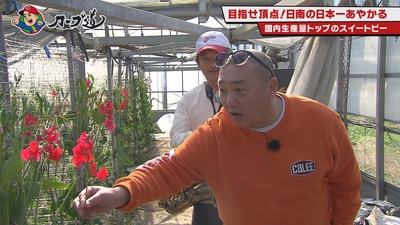 0hN6UJrD9htbAB8WqOU0.jpg?w=940&h=940