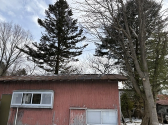 オーナーの想いを未来へ紡ぐ！築50年古民家を快適な宿泊施設へ　 軽井沢の空き家を再生するクラウドファンディングを 6月30日まで実施