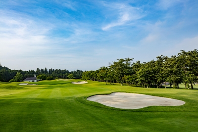 0hlYpWTKu5WolYsGB5Cs.jpg?w=940&h=940