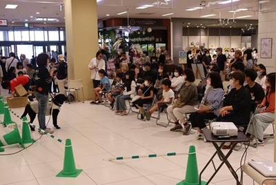 0hqrrDZ01IWObNtEVtod.jpg?w=940&h=940