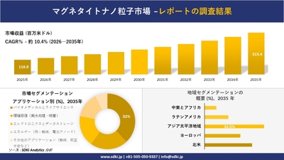 マグネタイトナノ粒子市場レポート概要