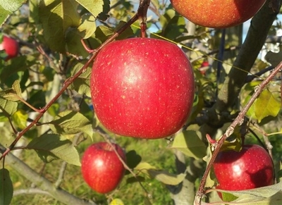 0i7s4F7ADcWjOuBcVPYF.jpg?w=940&h=940