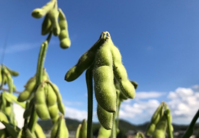 0igkbbFKL7eVlsNr3Jst.jpg?w=940&h=940