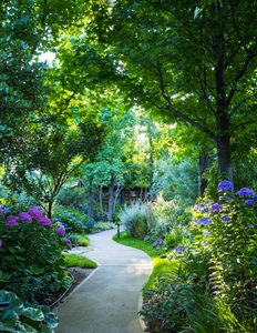 0iiNQNIMRWYIQjlDTVxn.jpg?w=940&h=940