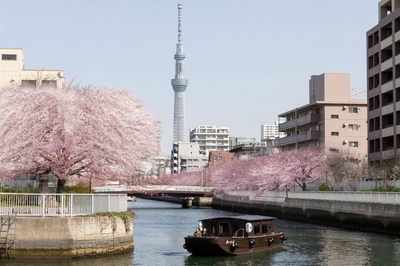 0kC5ZZThkLNPh3Bz8Rhr.jpg?w=940&h=940