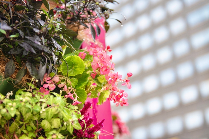 会場内を彩る花みどり