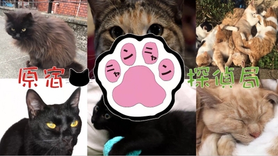 オープニングロゴ