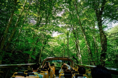 0lgBLUZ0AlC299qeiy9I.jpg?w=940&h=940