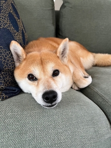 0mLvDRNZVOTBKMqQRgdC.jpeg?w=940&h=940