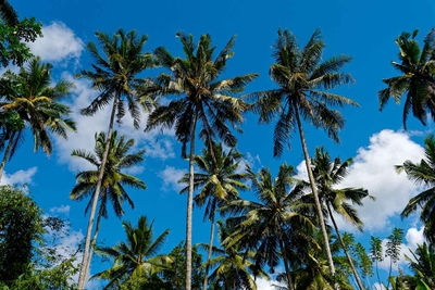 0mbLMosPipjQFTHmo8HY.jpg?w=940&h=940