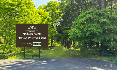 0n296T80CBW3ViD0fMTO.png?w=940&h=940