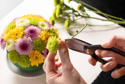 0nEetQRzHcsW9kPLxK9e.jpg?w=940&h=940