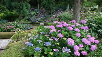 0nXNoHS657aHXFaCsmeU.jpg?w=940&h=940