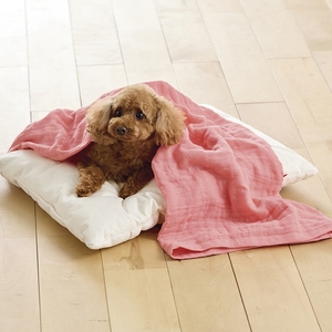 0oDjKdZrGIzTevHHuXCq.jpg?w=940&h=940