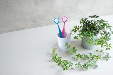 “口腔ケア”で注目が集まる「舌診」とケアについて SHIKIEN公式HPにて情報を公開