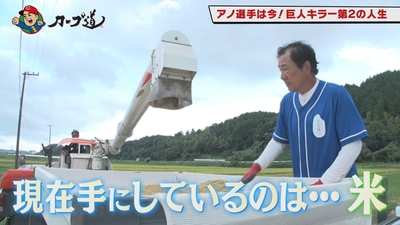 0qvbj5T8md47MQgKM2FE.jpg?w=940&h=940