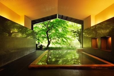 0r9NxJuXn40AZWjYuZlq.jpg?w=940&h=940