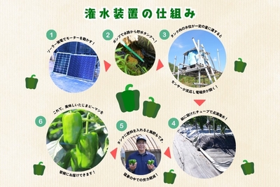 0rGvJ7cP5rO5zxY2xn7e.jpg?w=940&h=940