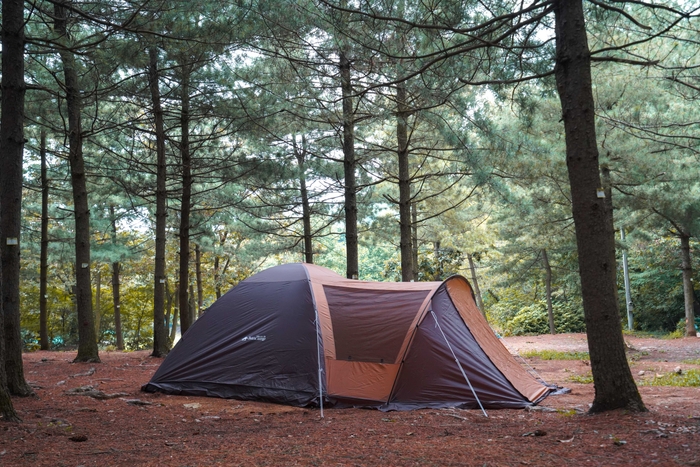 フライを被せれば、全長5m越えの広々空間が完成!