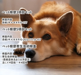 自宅で簡単にペットの健康チェック「ペット検便」開始　 人とペットの共生時代に、感染症リスク対策をサポート