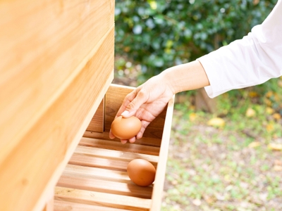 0uZbibfIT3Tui7Vxa6ln.jpg?w=940&h=940