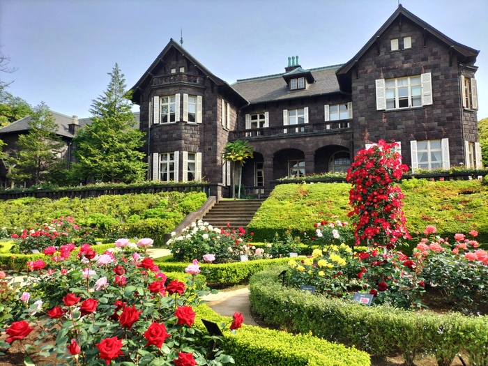 旧古河庭園 バラと洋館