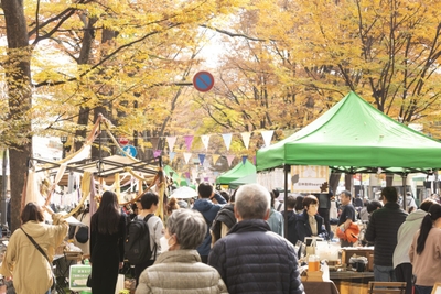 0vh5zOAyLH7a2LymhLIP.jpg?w=940&h=940