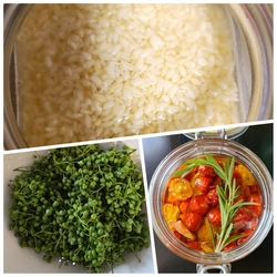 夏の疲れた身体を癒す「塩麹づくり」のワークショップを開催！ 自分の手で塩麹を仕込ん持ち帰れる実践型フードセラピー入門