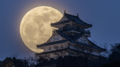 0xxtCRfO8nJbXR38Esde.png?w=940&h=940