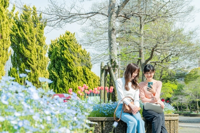 0y33t7Yp6pNfuk08QEha.jpg?w=940&h=940