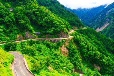 0yW53r6IBLzzVaphQ5ze.jpg?w=940&h=940