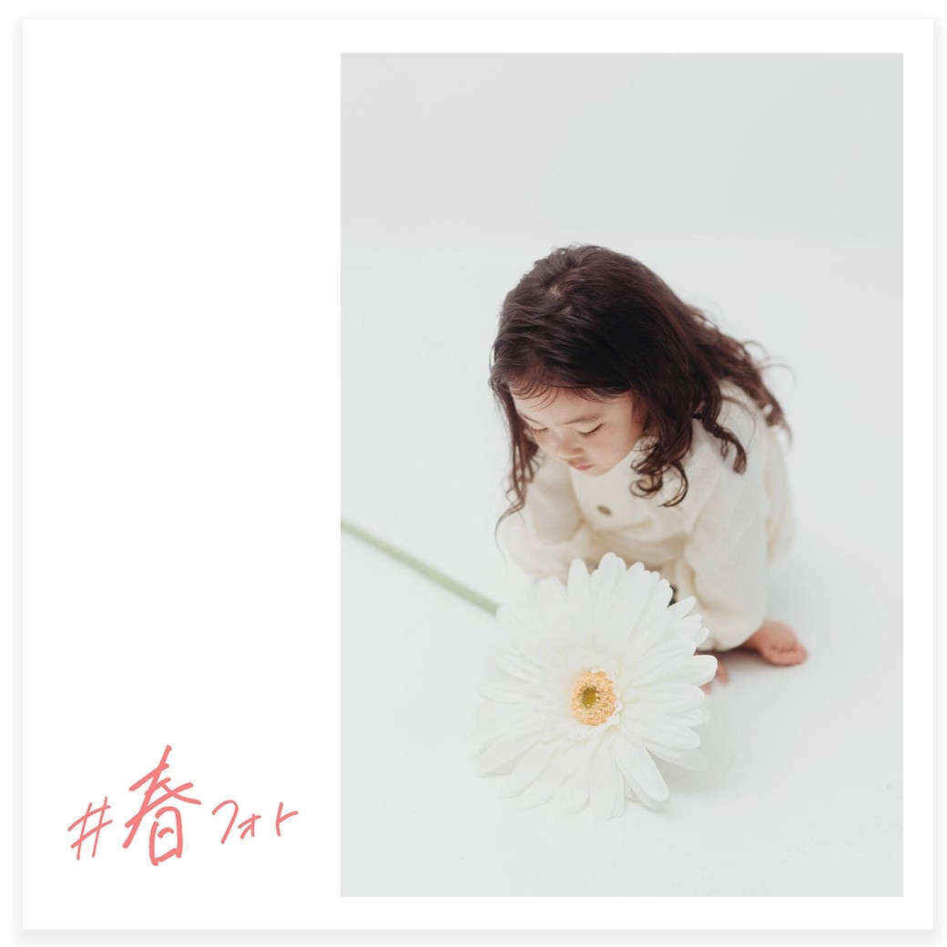 写真:ライフスタジオ