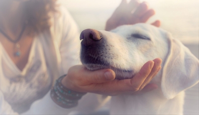 0zyJmDQ0dKHKKielJfkv.jpeg?w=940&h=940