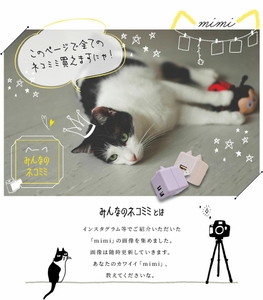 104nyvFs5Jno2le4aN5T.jpg?w=940&h=940